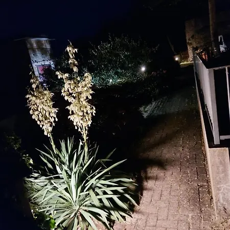 Apartment Bella Vista *