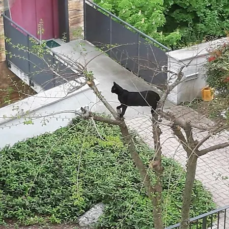 Bella Vista Apartment Tossignano