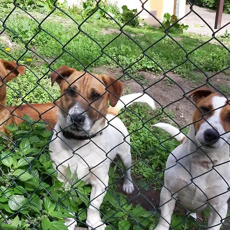 Bella Vista Apartment Tossignano