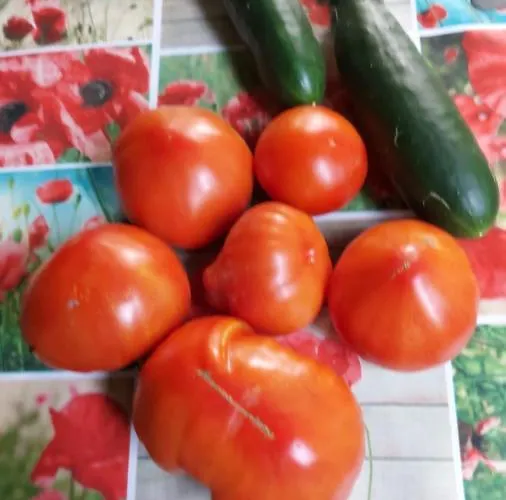 Bella Vista Апартаменты Tossignano