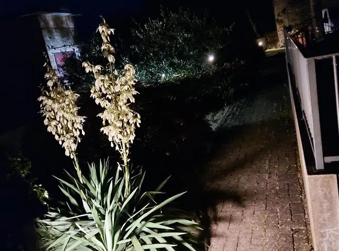 Апартаменты Bella Vista *