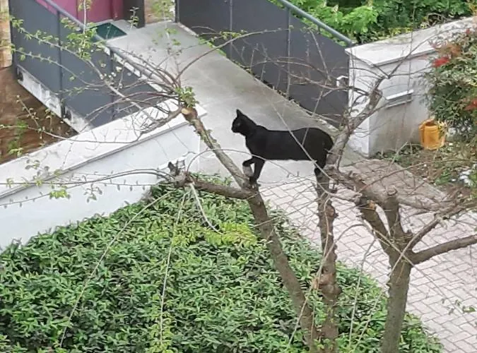 Bella Vista Апартаменты Tossignano