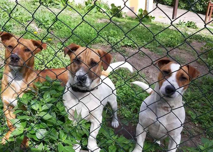 Bella Vista Апартаменты Tossignano